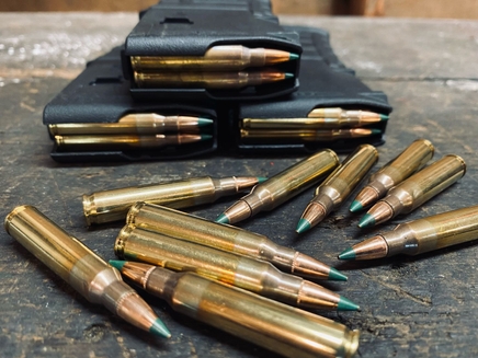 M855 vs M193 Face-off: Which 5.56mm Round Dominates?