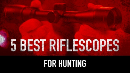 5 Best Riflescopes for Hunting