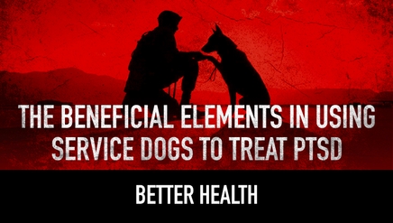 The Beneficial Elements in Using Service Dogs to Treat PTSD