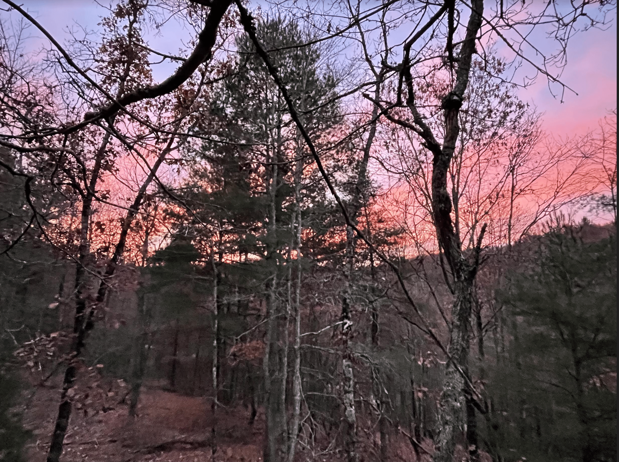 Hunting pic in Virginia