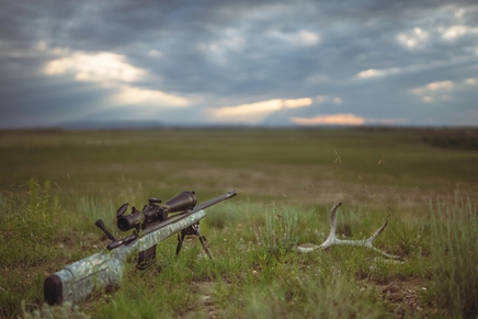 Best 308 Hunting Rifle: 2023 Buyers Guide