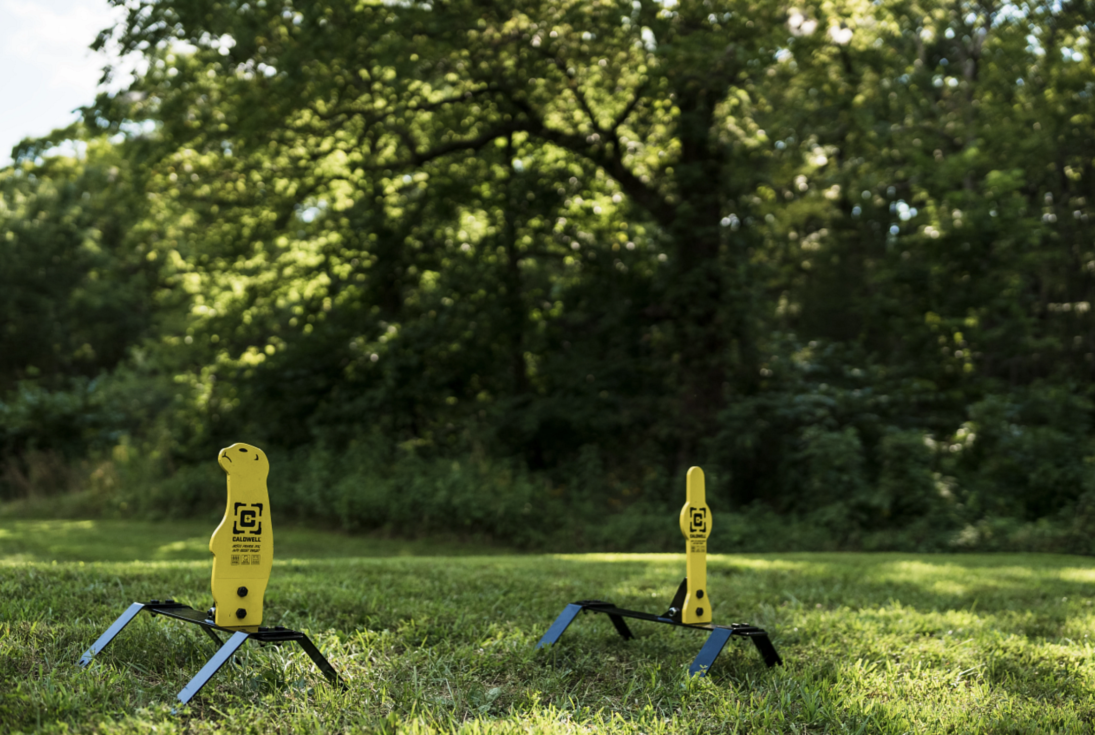 Caldwell AR500 Auto Resetting Targets