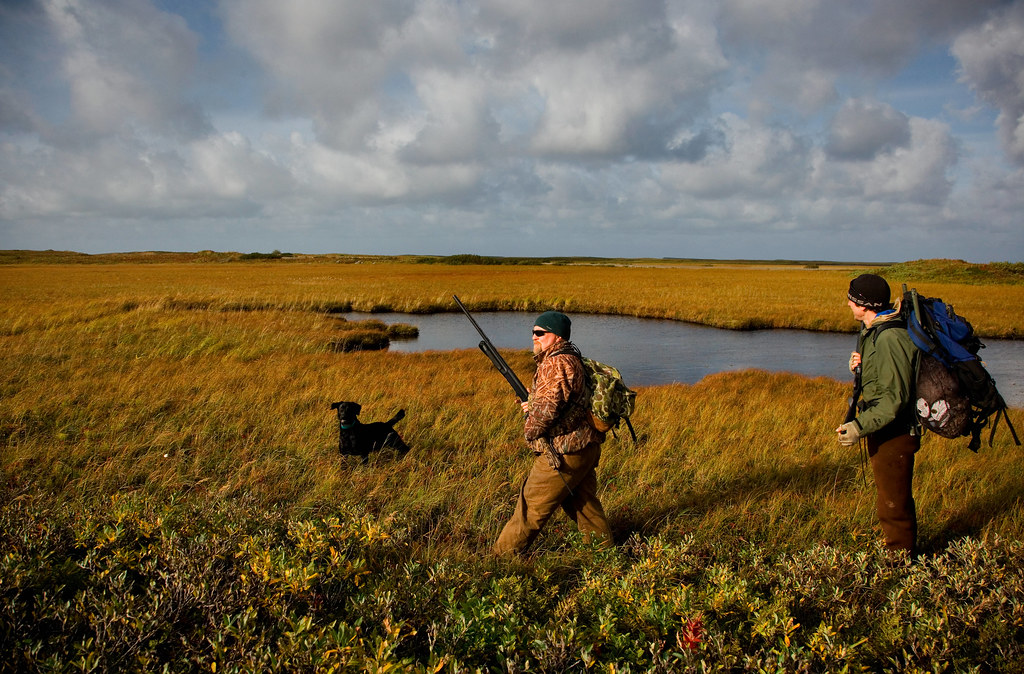 Top 5 Duck Hunting Shotguns For 2021