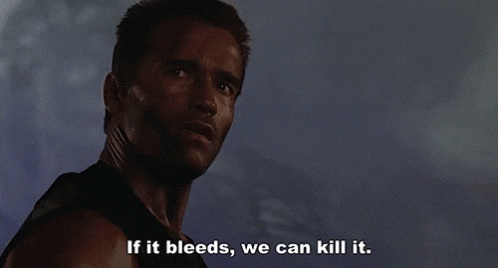 if it bleeds we can kill it