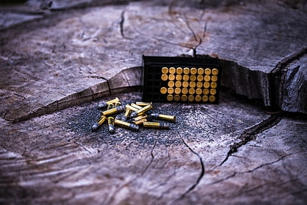 Different Types of 22 Ammo | 22LR vs 22 MAG