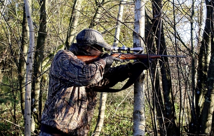Best 30-06 Hunting Rifles for Whitetail Deer in North America