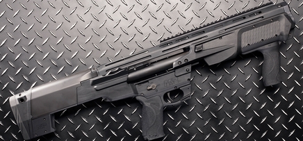 Smith & Wesson M&P12 Bullpup Shotgun | Home Intruders Beware