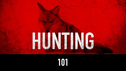 Hunting 101: For Your Very First Hunt