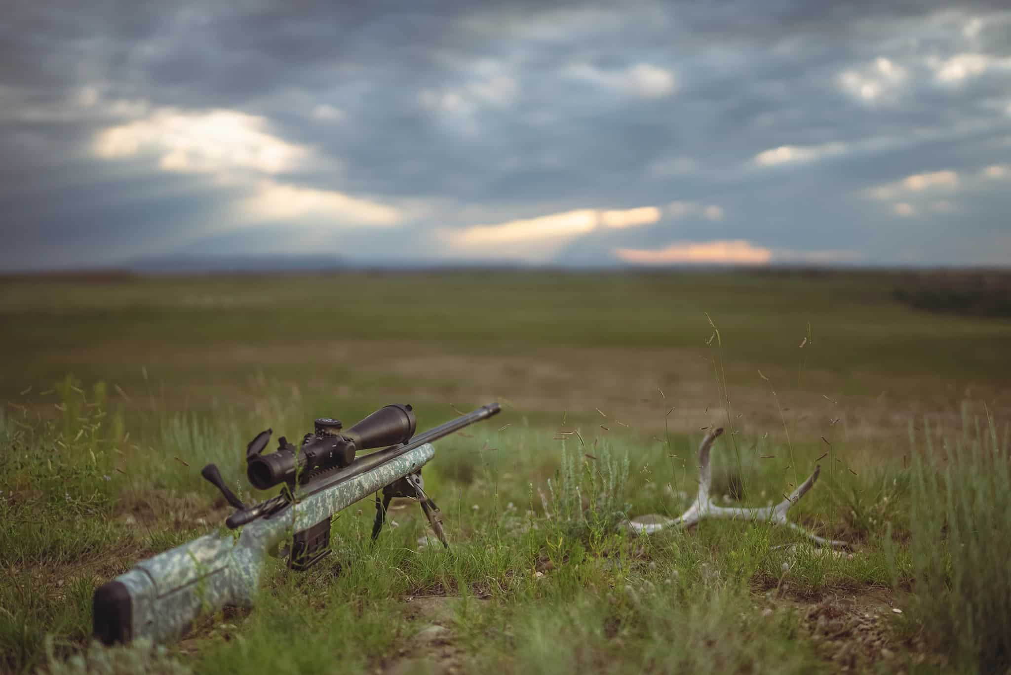 Best .308 Short-Barrel Hunting Rifles