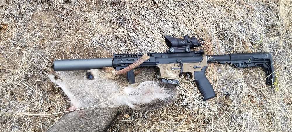 Hunting with suppressor