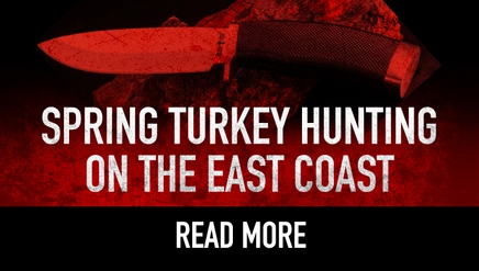 Spring Turkey Hunting on the East Coast