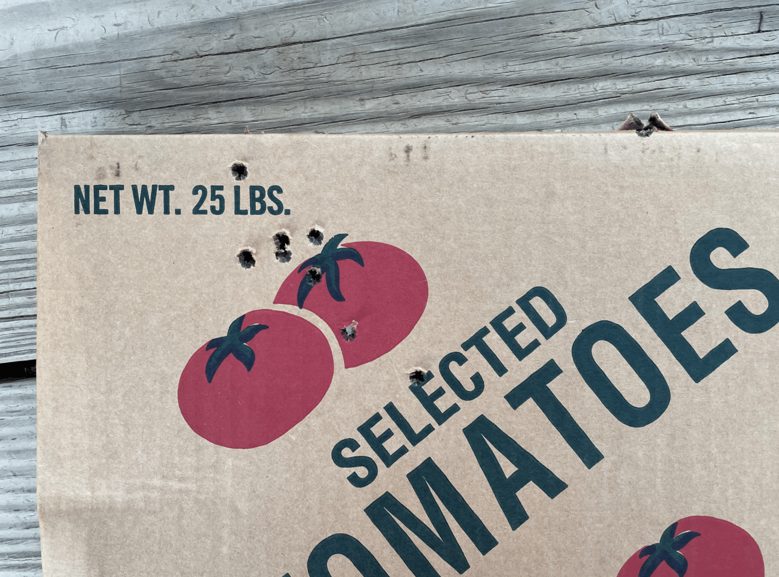 Crimson Trace Brushline Pro 6-24x50 target at 100 yards